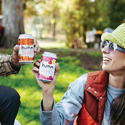 Humm Humm Probiotic Kombucha Zero Sugar Variety Pack - No Refrigeration Needed, Keto Friendly, Organic, Vegan, Gluten Free - 12oz Cans (16 Pack)