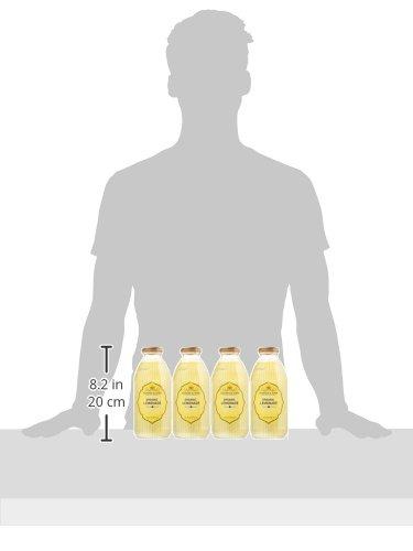 Harney & Sons Harney & Sons Juice, Organic Lemonade, 16 Ounce (Pack of 12)