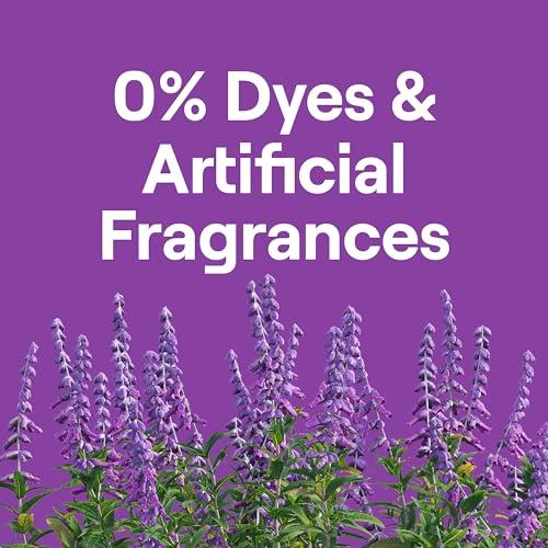 Seventh Generation Seventh Generation Laundry Detergent Packs, Lavender, Biobased Deep Clean, EPA Safer Choice Certified, 64 Count