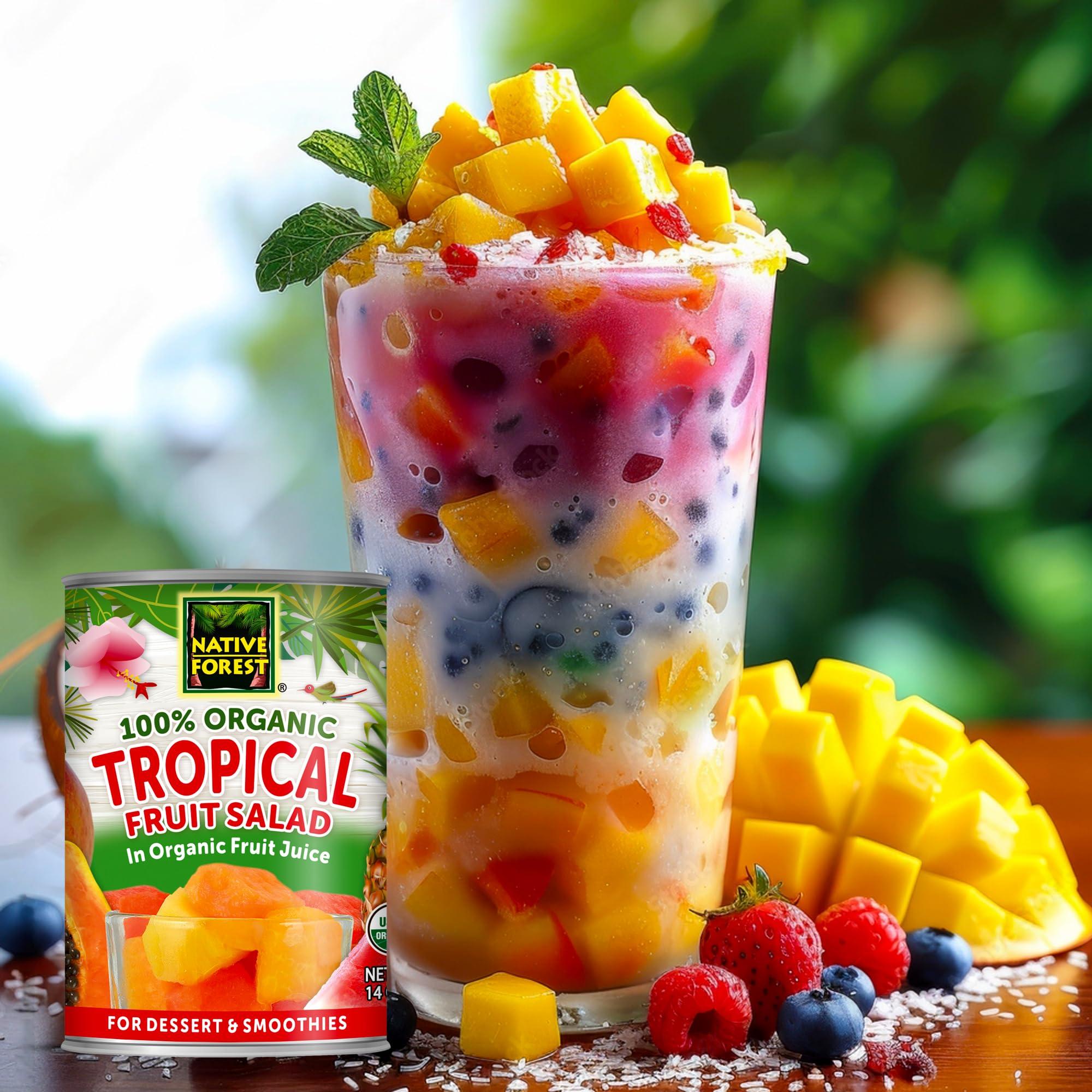 Native Forest Native Forest Organic Tropical Fruit Salad - Canned Fruit in Natural Juice, Tropical Fruit Cocktail, Tropical Fruit Salad Organic - 14 Oz (Pack of 6)