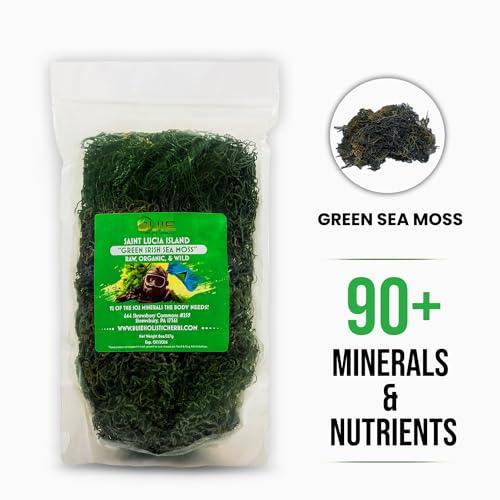 BUIE HOLISTIC HERBS Green Irish Sea Moss, 8 Oz | Dr. Sebi Inspired | Organic Green Sea Moss | Make 120+ oz Sea Moss Gel | Sun-Dried Sea Moss from Coast of St. Lucia