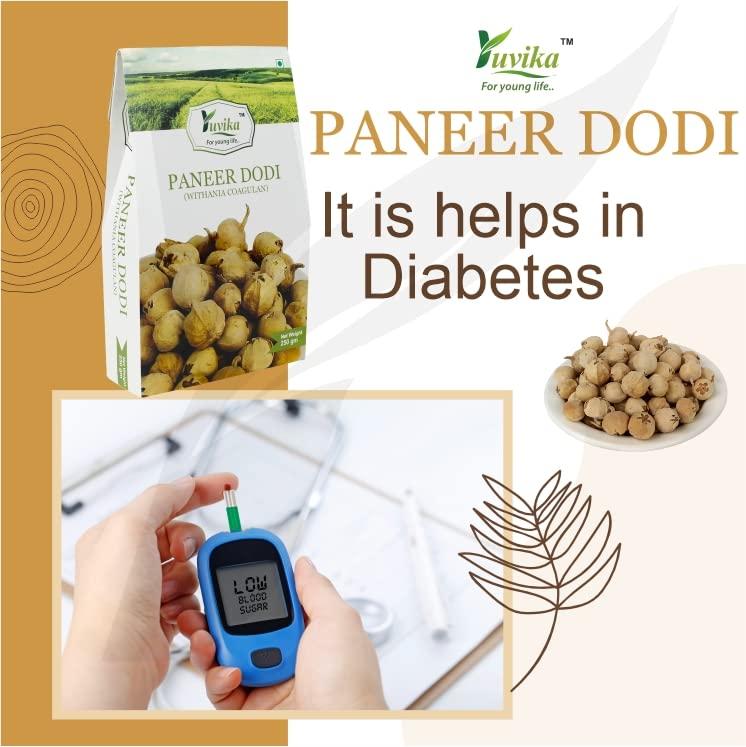 Yuvika YUVIKA Paneer DODI Powder | Paneer Doda Powder - Withania Coagulans (400 Grams)