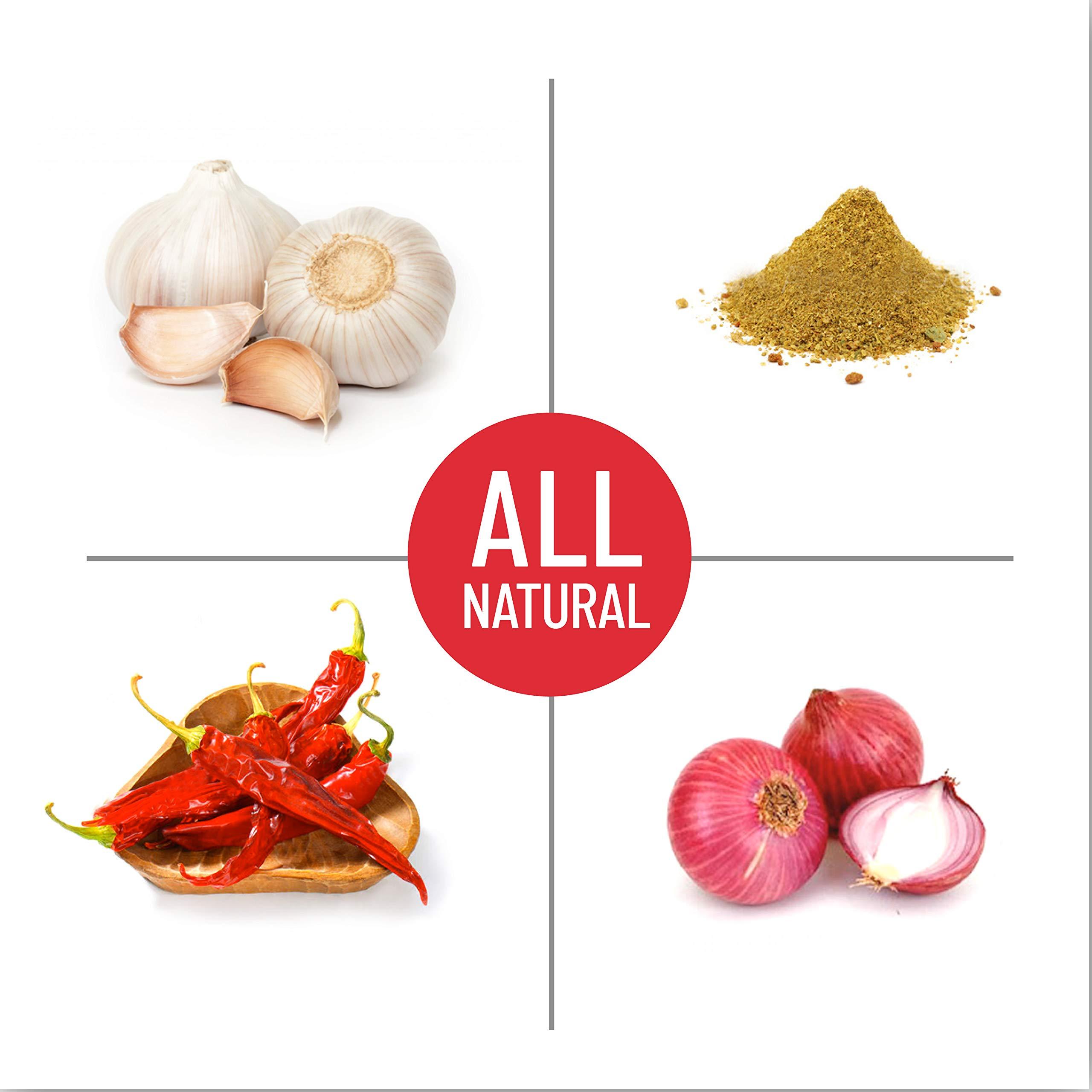 Chile Crunch Chile Crunch Spicy Infused Gourmet Chili Oil (3 Pack)