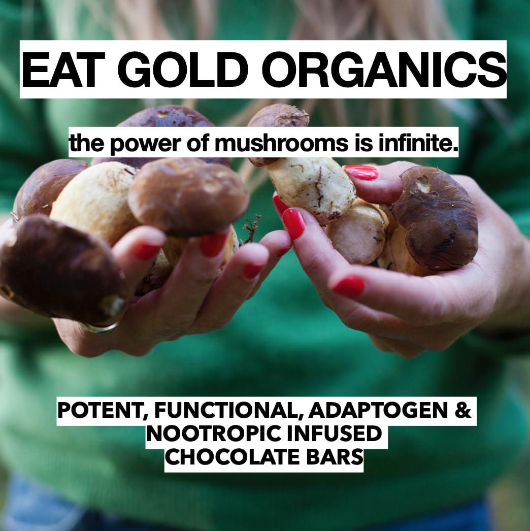 EAT GOLD ORGANICS IMMUNE SHROOM : THE ONE FOR A BOOST : a potent, delicious, functional chocolate bar formulated with premium, organic cacao, powerful adaptogens & mushrooms to support boosting your immunity