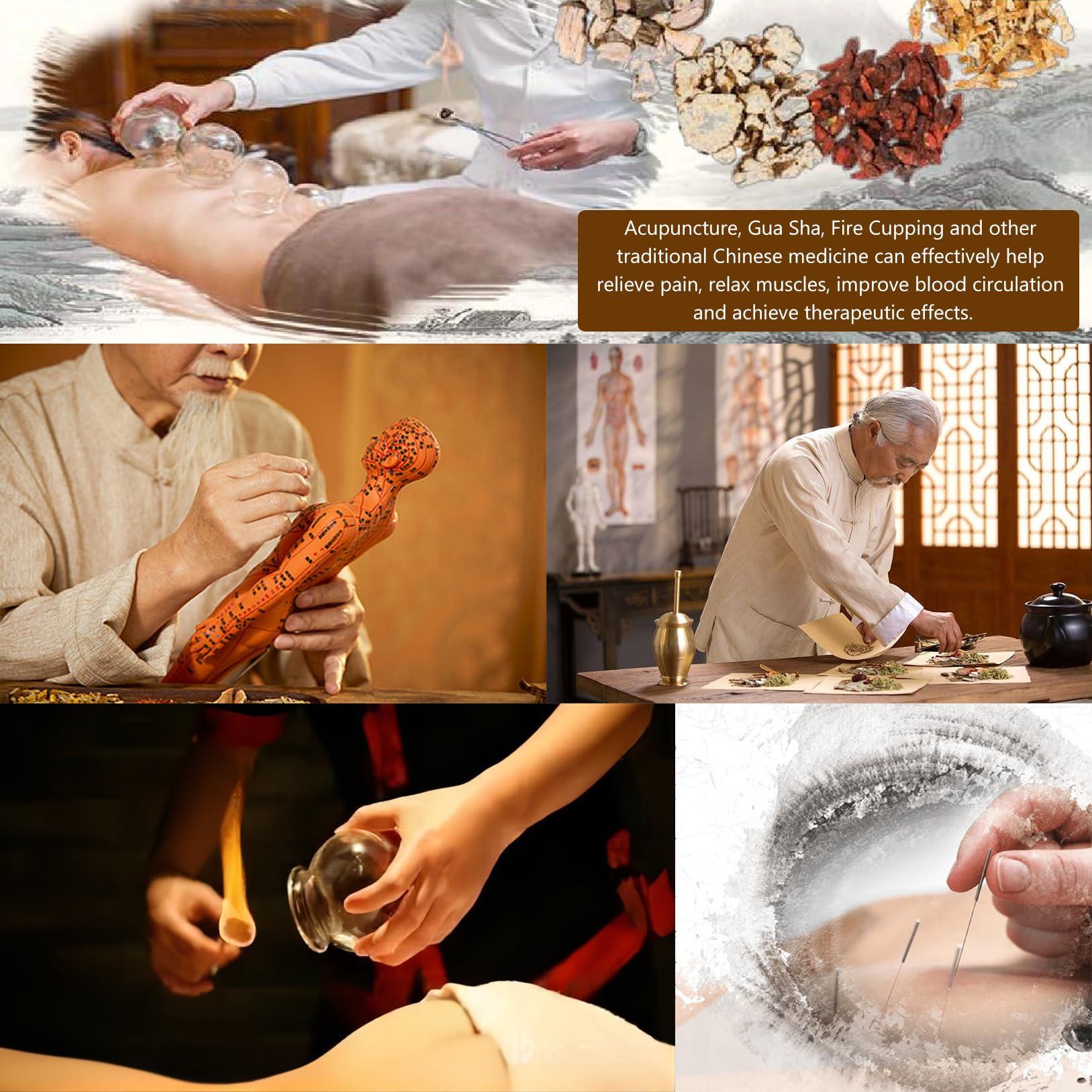 CUAIBB Acupuncture Model 18.9 inch 256 Acupoint, Human Acupoint Model Full Silicone Body, Acupuncture Doll for Chinese Medicine Teaching Learning Beginners - English Marking