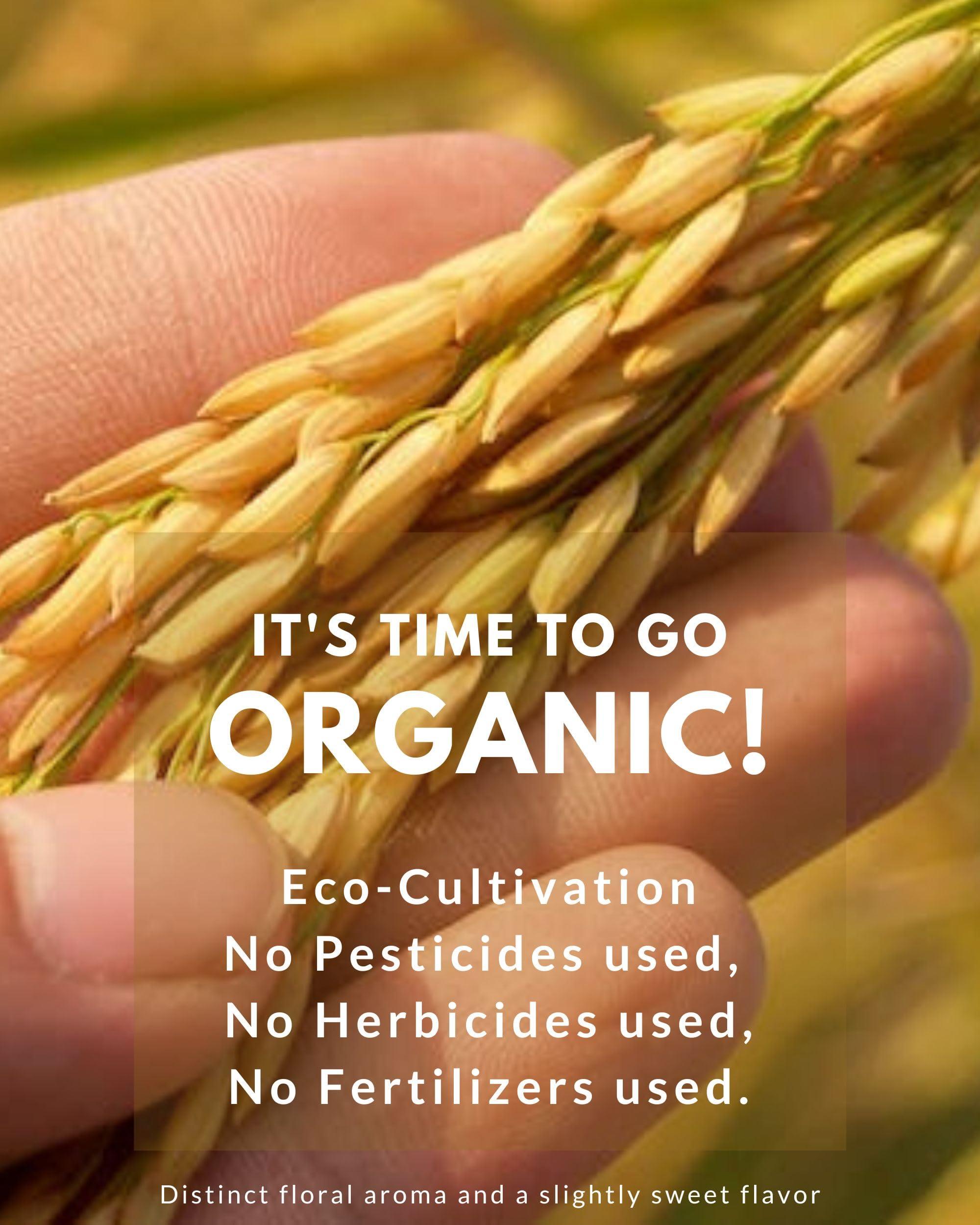 Blue Orchid Organic Organic Thai Jasmine Rice Gift Set - Medley Rice 4 Kinds - Brown Jasmine - Red Jasmine - Black Jasmine Riceberry - Mixed Jasmine Rice - 2 LB Eco Gift Set