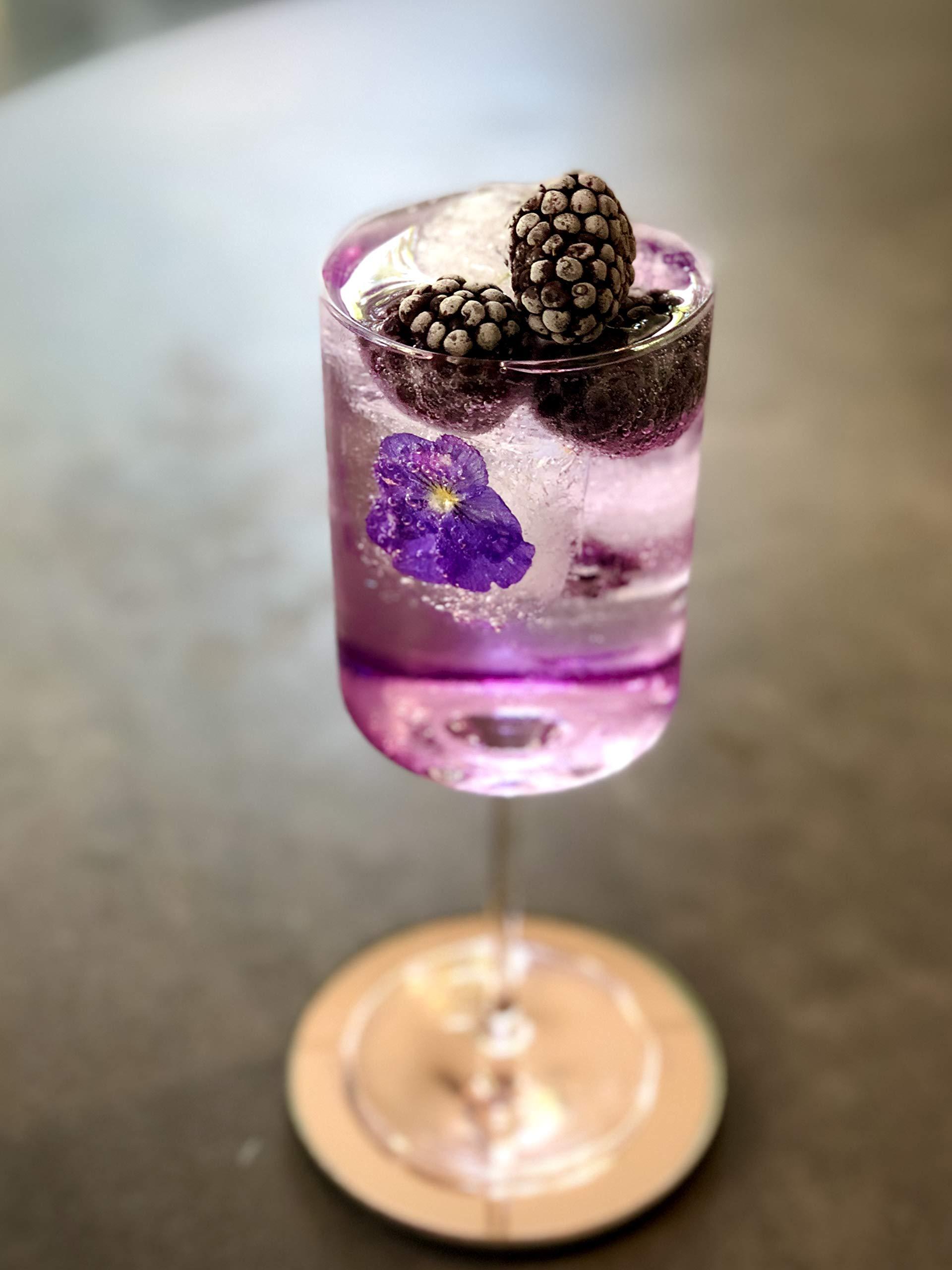 Wild Hibiscus Flowers in syrup B\'lure Flower Extract - 3.4 Fl Oz Bottle (Pack of 6)