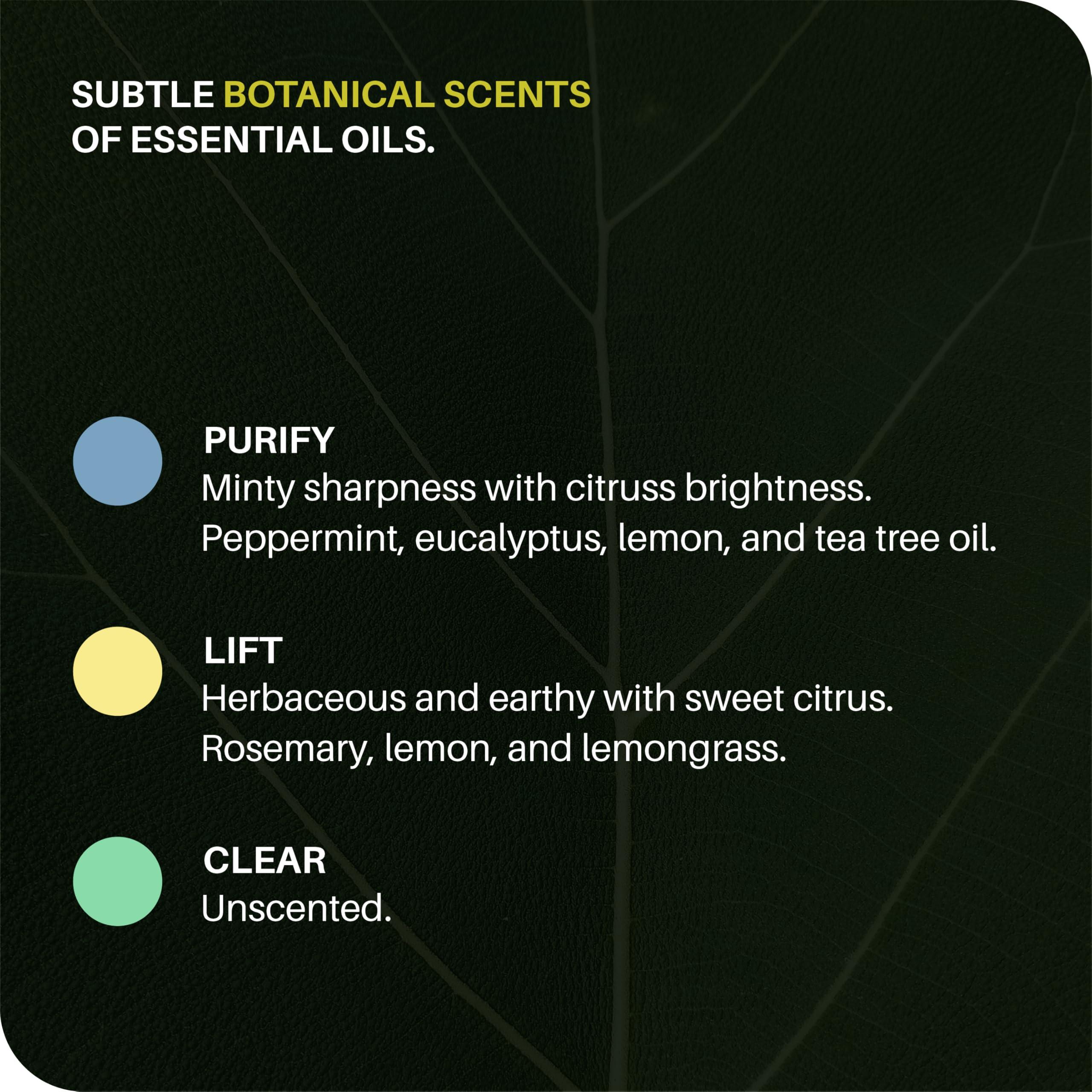 Everneat Everneat Oven Scrub (16oz): Natural Oven Cleaner and Kitchen Cleaner | Heavy Duty Oven Cleaner & Oven Rack Cleaner Kit | Fume-free & Safe to Clean All Ovens (Unscented)