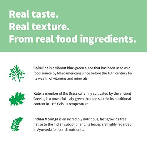 Sprout Living Sprout Living Epic Protein, Plant Based Protein & Superfoods Powder, Green Kingdom | 20 Grams Organic Protein Powder, Greens, Vegan, Non Dairy, Non-GMO, Gluten Free, Low Sugar (1 Pound, 12 Servings)