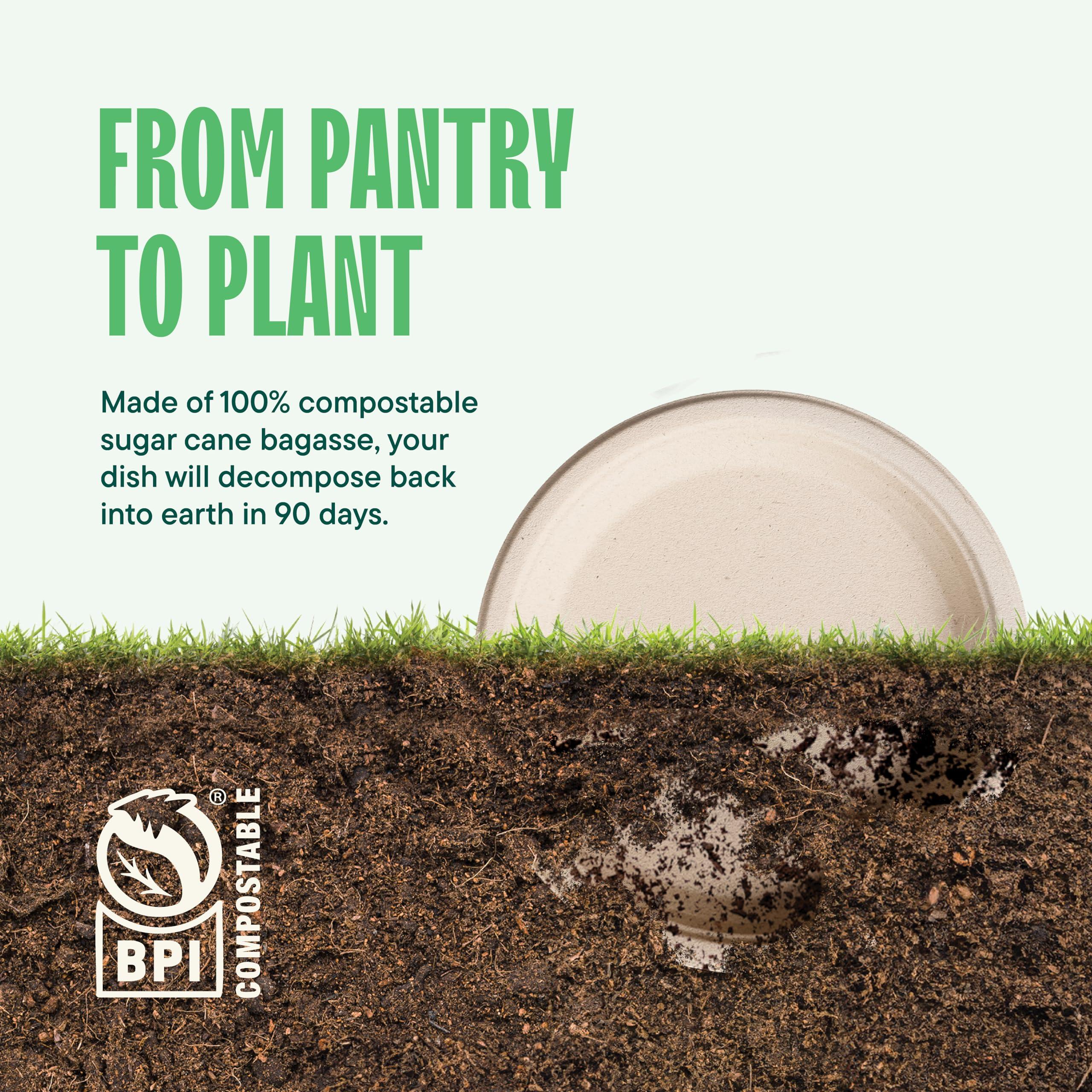 Stack Man 100% Compostable Paper Plates 9 Inch [500 Count] Heavy-Duty Dinner Plates - Natural Brown Color Unbleached Bagasse - Eco-Friendly Disposable Biodegradable Sugarcane Plates - [Bulk Case 4/125 Pack]