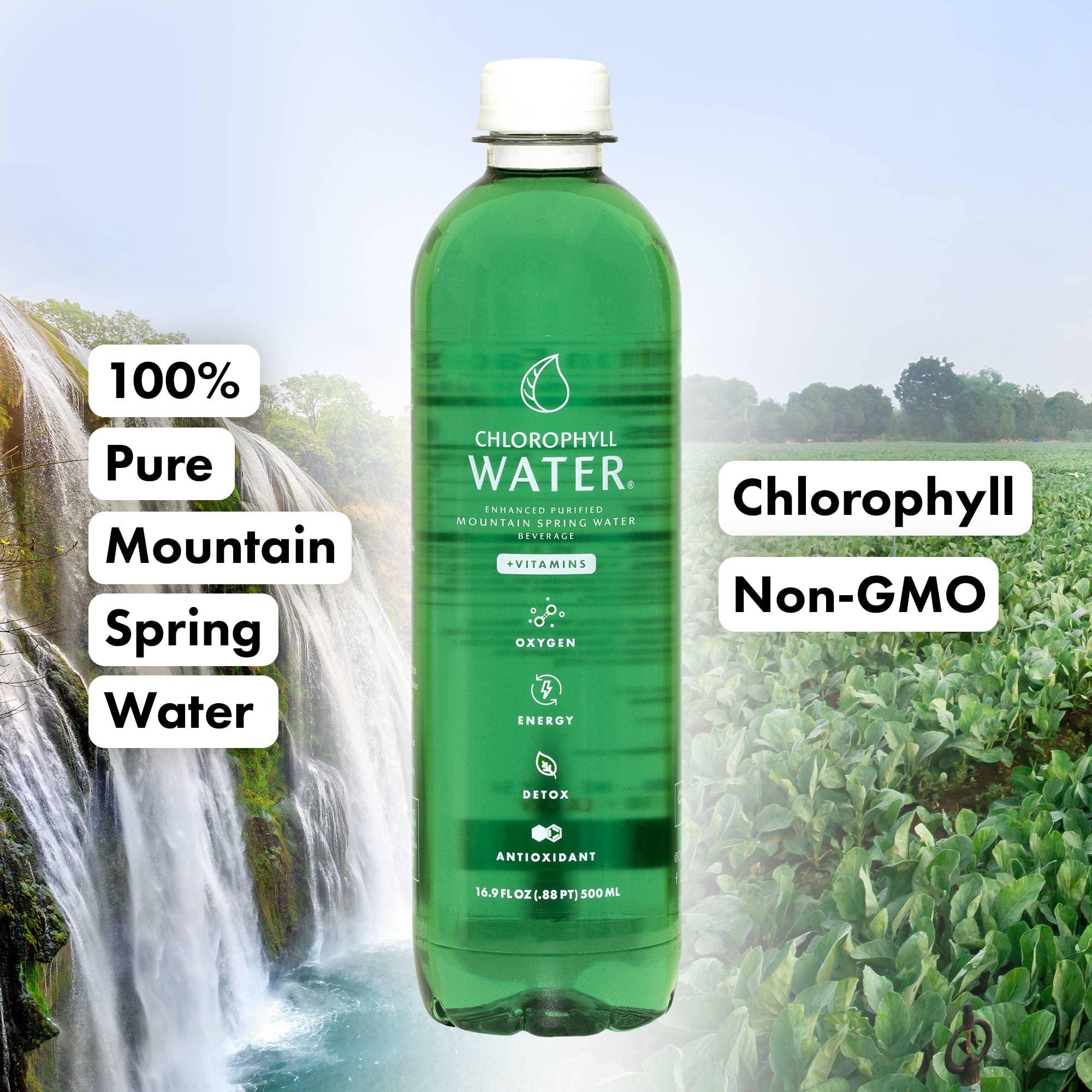 Chlorophyll Water Chlorophyll Water Purified Mountain Spring Water w/Liquid Chlorophyll & Vitamins A, B12, C, D | Plant Based | Antioxidants, Detox Water, Energy Boost, Immune Support 12pk