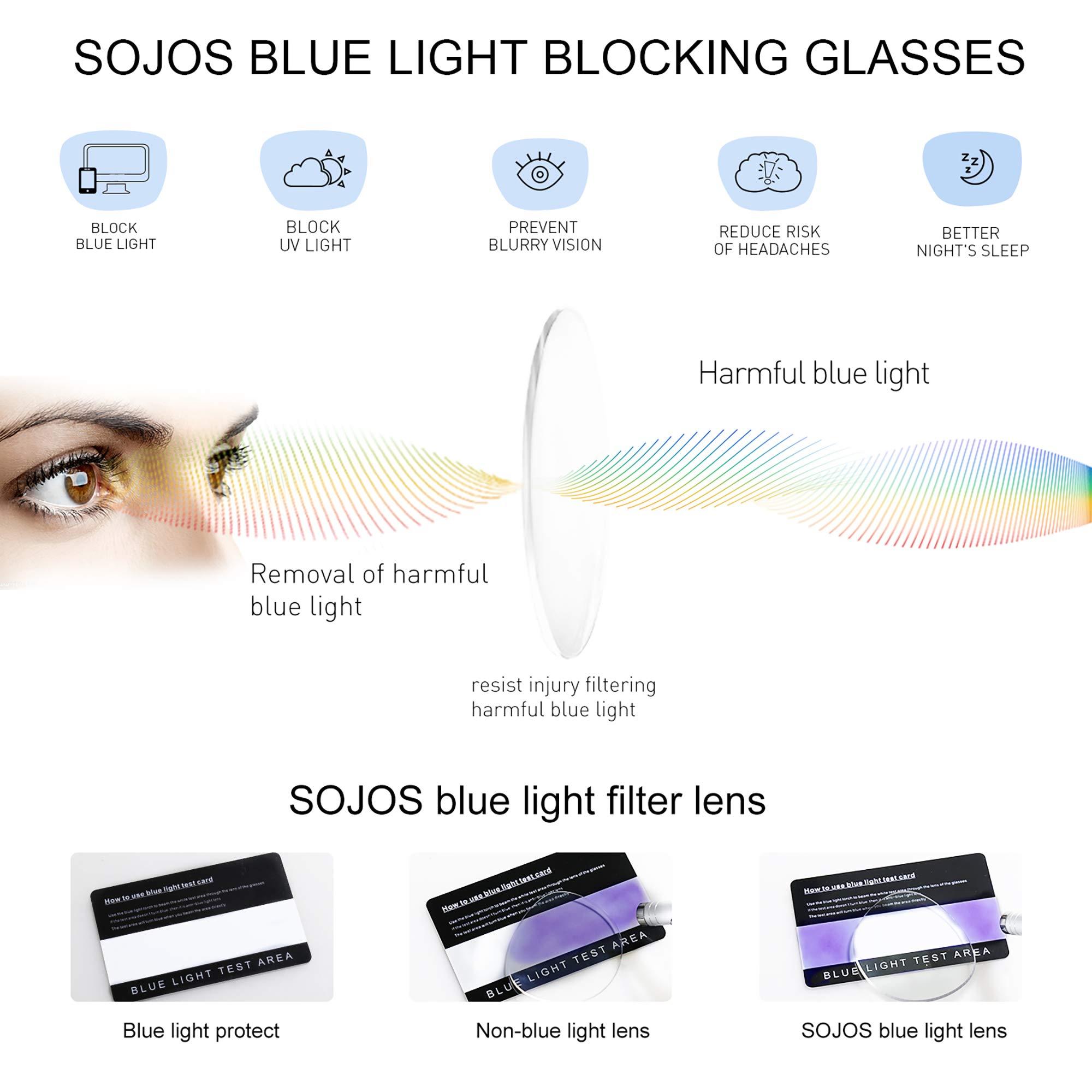 SOJOS SOJOS Cat Eye Blue Light Blocking Glasses for Woman Hipster Metal Frame Womens Eyeglasses She Young SJ5027, Blue&Silver Frame/Anti-Blue Light Lens