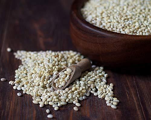Food to Live Pearl Barley, 20 Pounds Processed Hulled Barley, Cereal Grain, Kosher, Vegan, Bulk. Cooks Faster than Hulled Barley. High in Fiber. Great for Soups, Risottos. Product of the USA