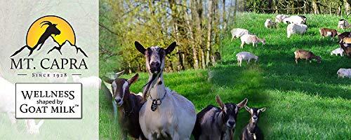 MT. CAPRA SINCE 1928 MT. CAPRA SINCE 1928 DEEP-30 | Meal Replacement Shake, Goat Protein Powder with Grass Fed Whey Protein and Casein Protein, Minerals and BC-30 Probiotics, Coconut Dream Flavor - 2 Lbs