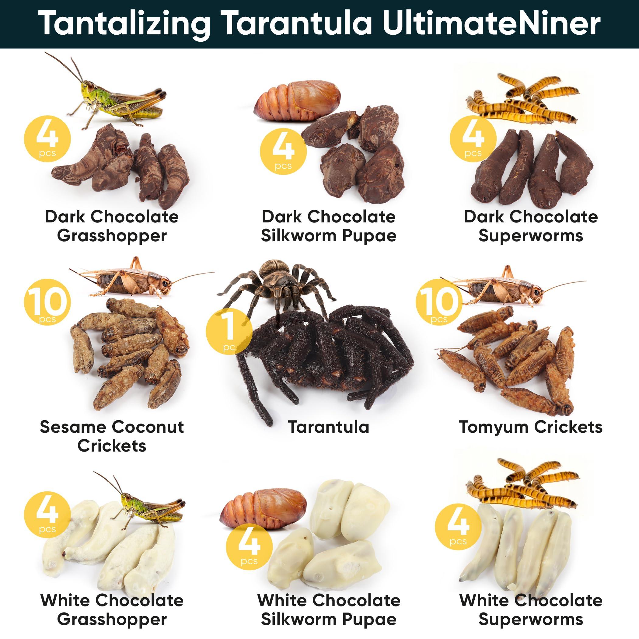 Insnacc White Elephant Gifts For Adults - 2.26 Ounce Real Edible Flavored Insects For Humans, Funny Birthday Gifts, Weird Gifts (Tarantula & Assorted Bugs, Box of 9)