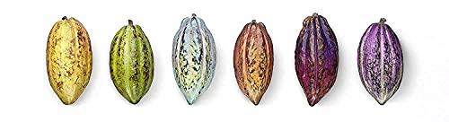 MAROU FAISEURS DE CHOCOLAT MAROU FAISEURS DE CHOCOLAT Cacao Cashew Spread, 250 GR