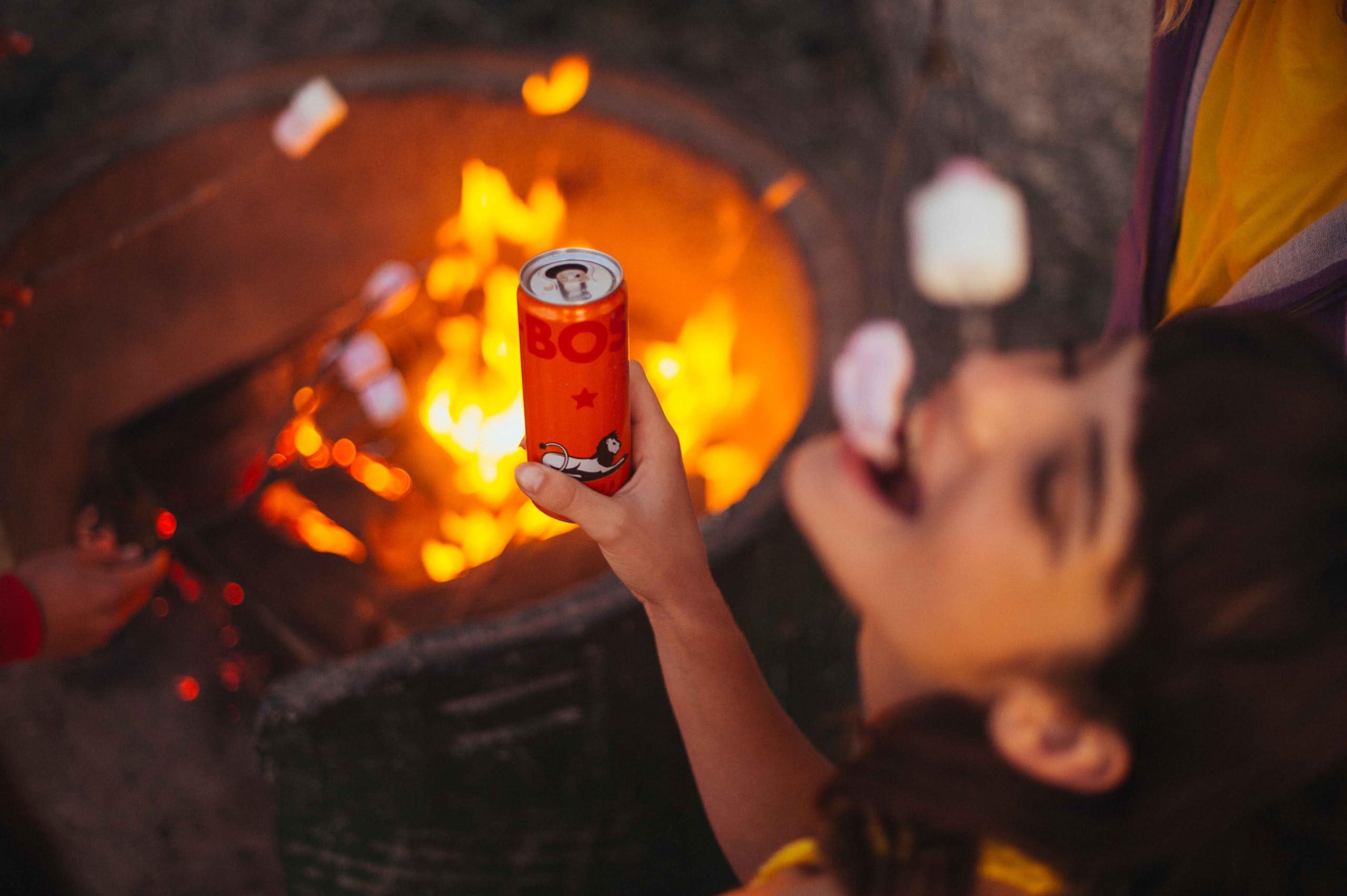 BOS BOS Rooibos Iced Tea Sugar Free Peach | 24x (6x 10.1 oz Cans) | Organic, Caffeine Free, Naturally Sweet, Antioxidant-Rich, Herbal, Red Rooibos Tea | From South Africa