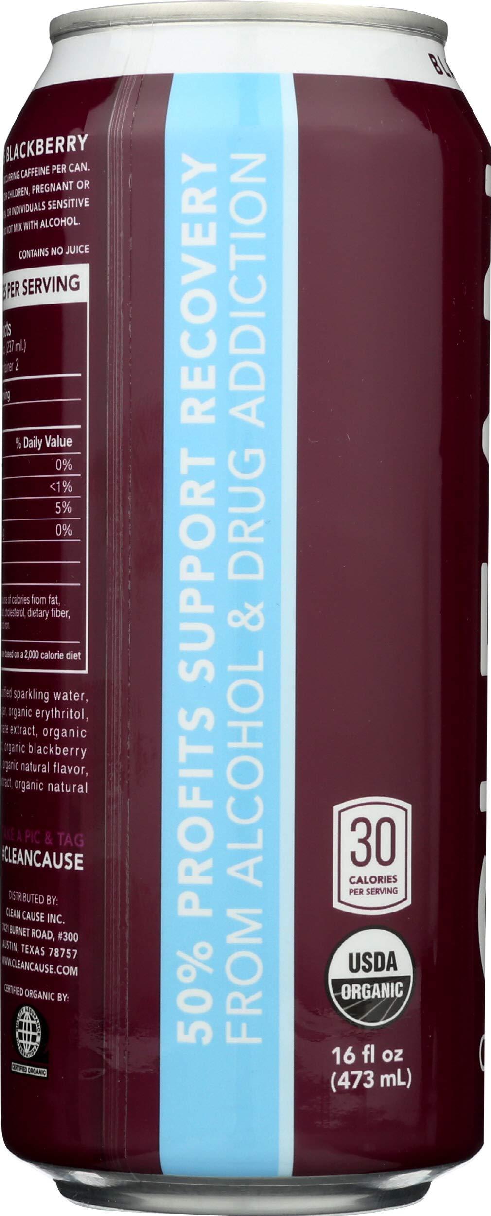 Clean Cause Clean Cause Sparkling Blackberry Yerba Mate - 16 Ounces (Case of 12)