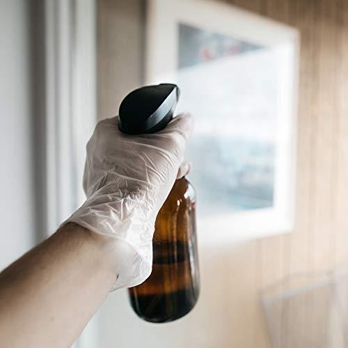 GLOVEPLUS GLOVEPLUS AMMEX Industrial Clear Vinyl Gloves, Latex Free, Powder Free, Food Safe, Disposable, Non-Sterile