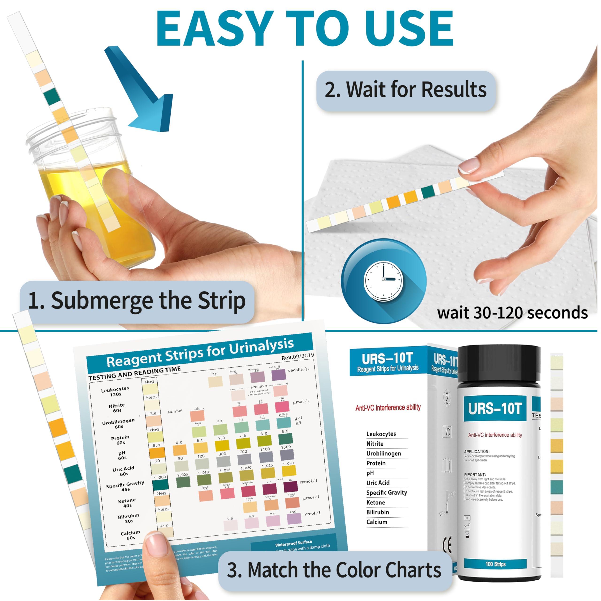 Palinoia URS 10-in-1 Urine Test Strips 10 Parameters Testing UTI, Urinalysis for Ketosis, pH, Protein, Kidney and Liver Function, 100 CT