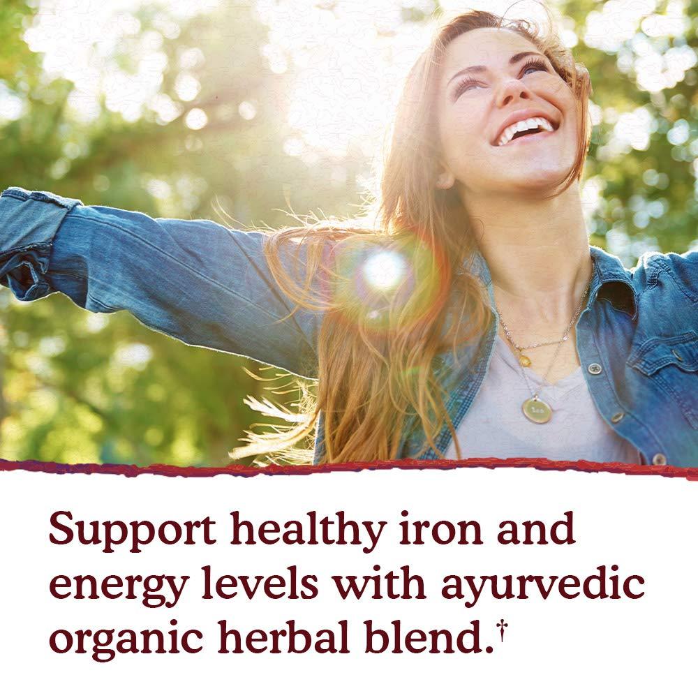 Garden of Life mykind Organics Organic Plant-Sourced Iron + Herbs (Cranberry-Lime Liquid) 8oz Liquid