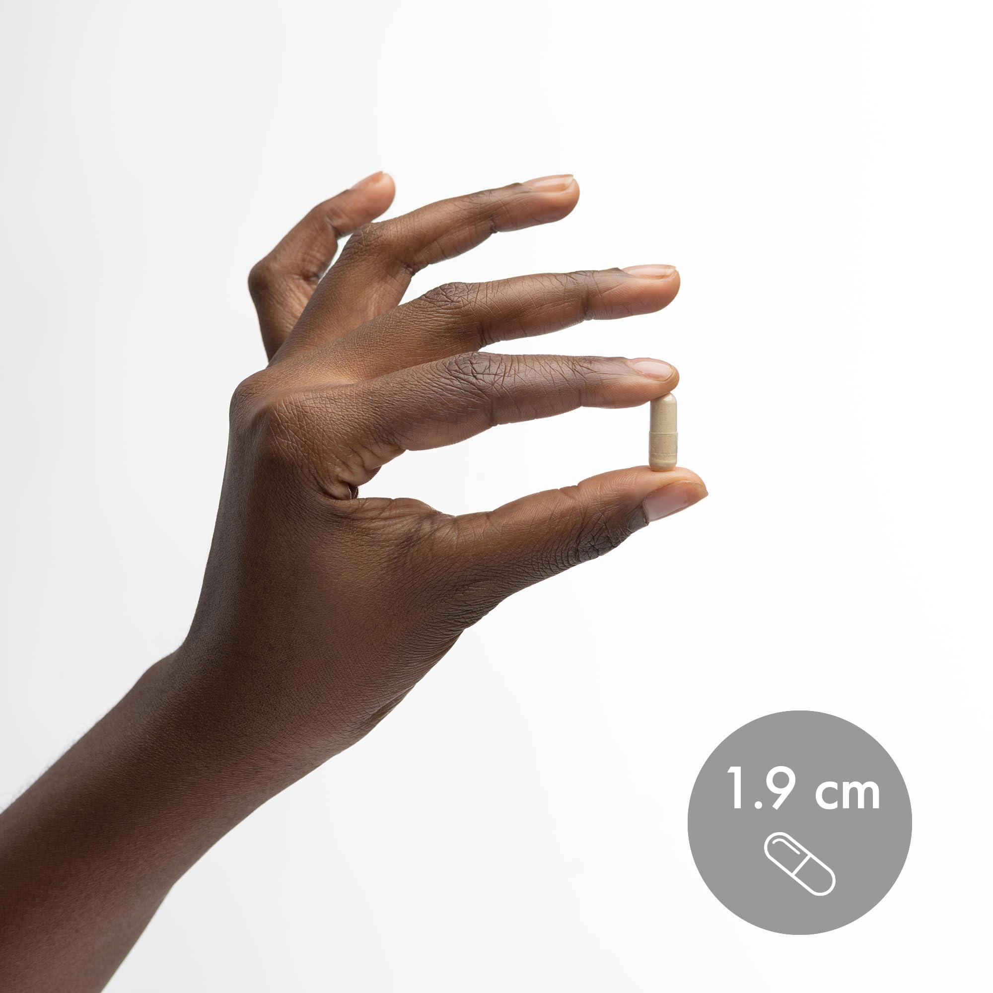 Dr. Mercola Dr. Mercola, Full Spectrum Enzymes Dietary Supplement, 90 Servings, 3-Pack (90 Capsules), Digestive Support, Non GMO, Soy Free, Gluten Free