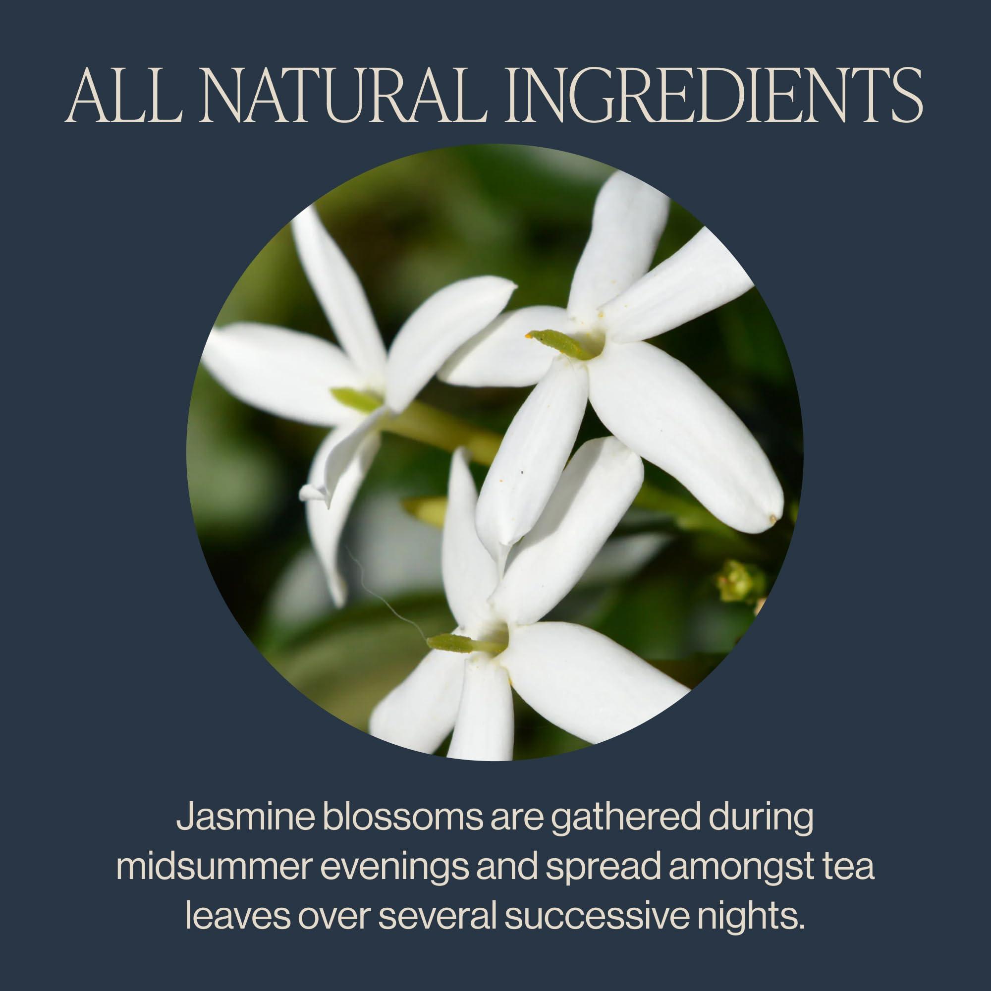 Rishi Tea Rishi Tea Jasmine Green Tea - Organic Sachet Tea Bags, Caffeinated Scented Chinese Green Tea with Floral Aroma . Taste - 15 Count (Pack of 1)