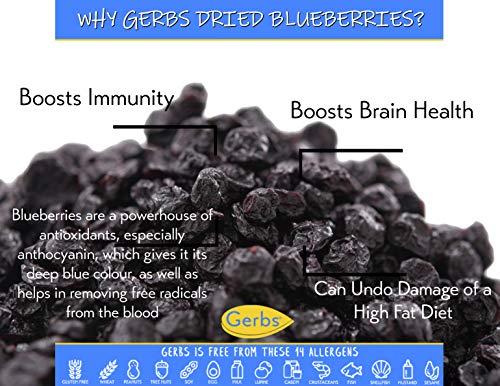 GERBS Gerbs Dried Cape Cod Blueberries 10 LBS Bulk Case