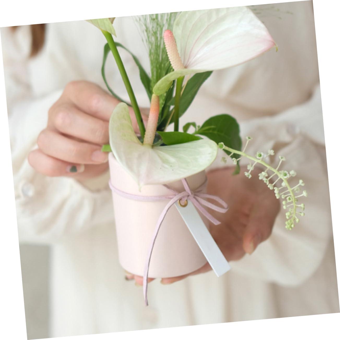 Minor Figures Minor Figures - Oat Milk - Organic - Barista Standard - 32 Oz - 6 Pack - Non Gmo - Plant Based - Vegan - Dairy Free - Shelf Stable - Unsweetened