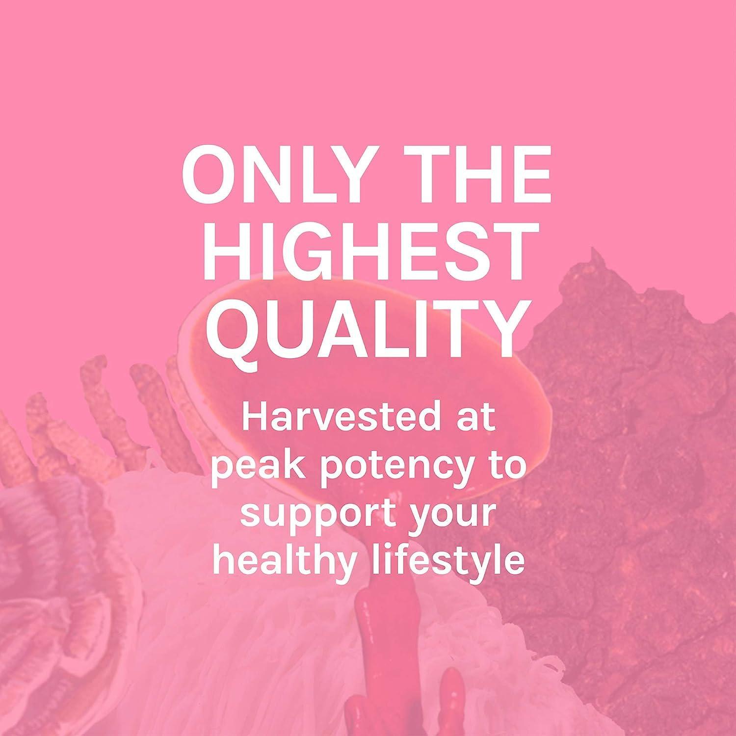 Host Defense Host Defense Turkey Tail Capsules - Digestive Health & Immune Response Support Supplement - Mushroom Supplement for Gastrointestinal & Gut Microbiome Support - 60 Capsules (30 Servings)*