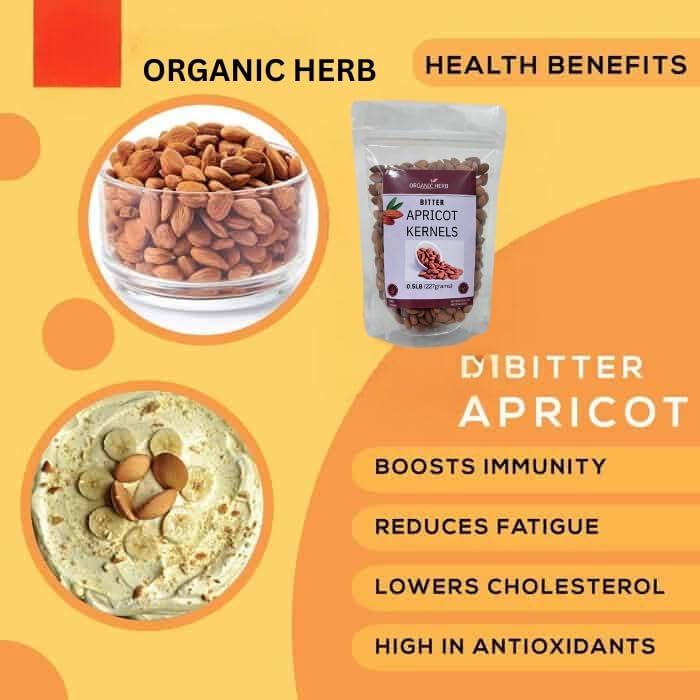 VASU ENTERPRISES Generic Organic Herb Bitter Apricot Kernels 0.5lb (8oz) 100% USDA Organic Certified Seeds, NON-GMO, Product of INDIA, Gluten Free, Resealable Bag