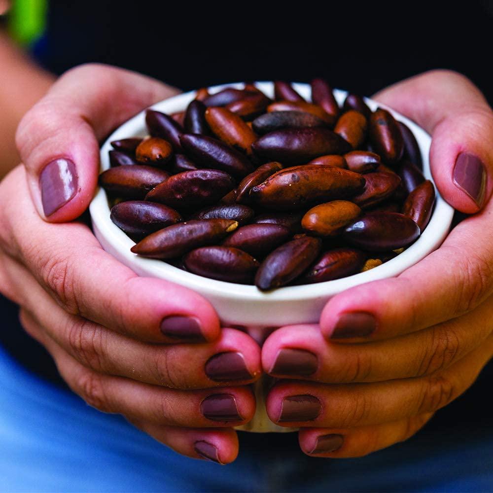 Tio Berto Baru Nuts Roasted, 10 oz Resealable Bag | Crunchy and Delicious | Suitable for Vegan, Gluten Free, Keto, Peanut Free Diets | High Protein Snacks | Premium Wild Supernuts | Healthy Snacks by Tio Berto