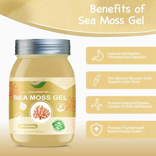 QANLOI Sea Moss Gel Organic Raw-Sea Moss Advanced Superfood-Organic Sea Moss Supplement-Gut Health-18.5OZ Natural Sea Moss GelOriginal