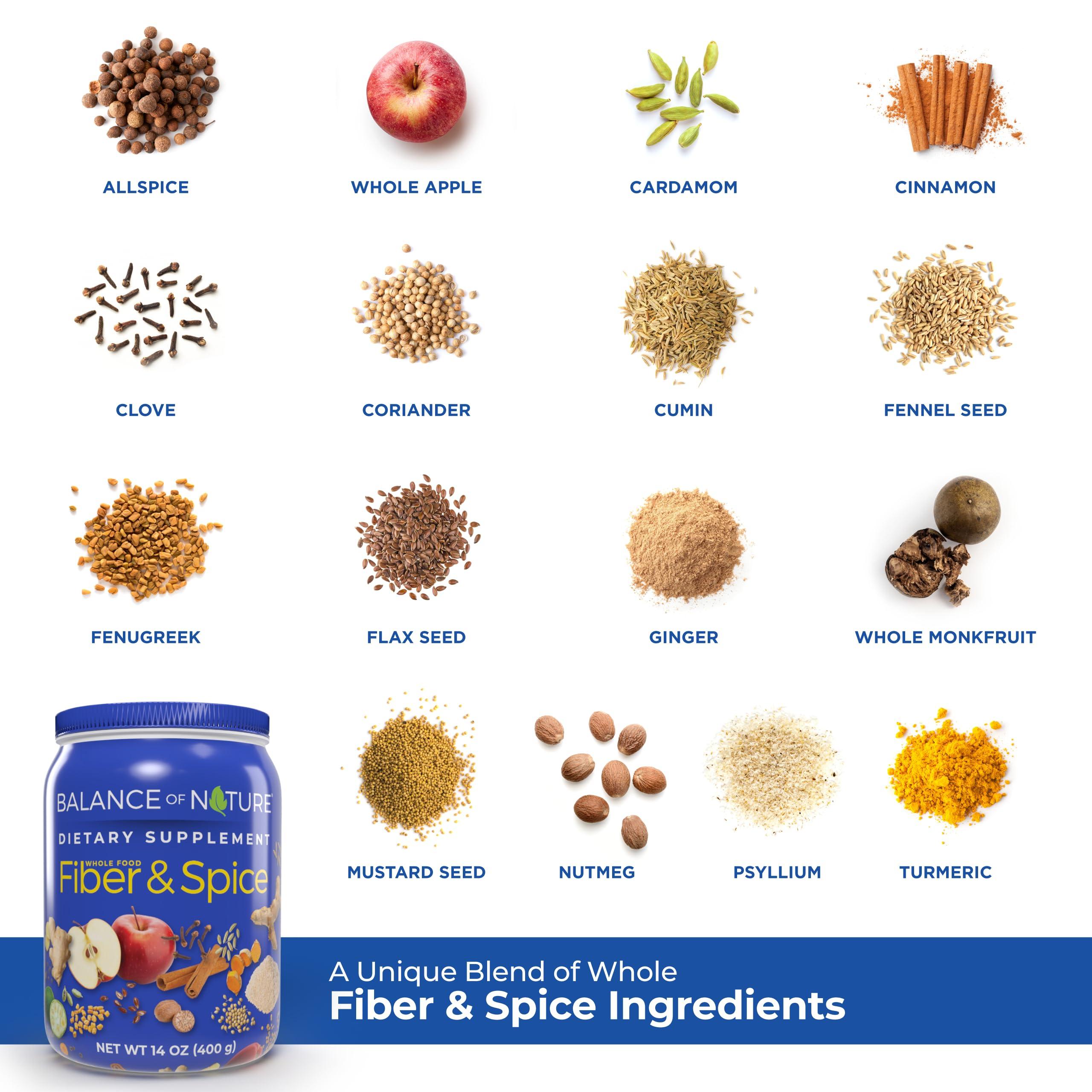 Balance of Nature Balance of Nature Fiber & Spice - Psyllium Husk, Flax Seed, Turmeric & Apple - 30 Servings