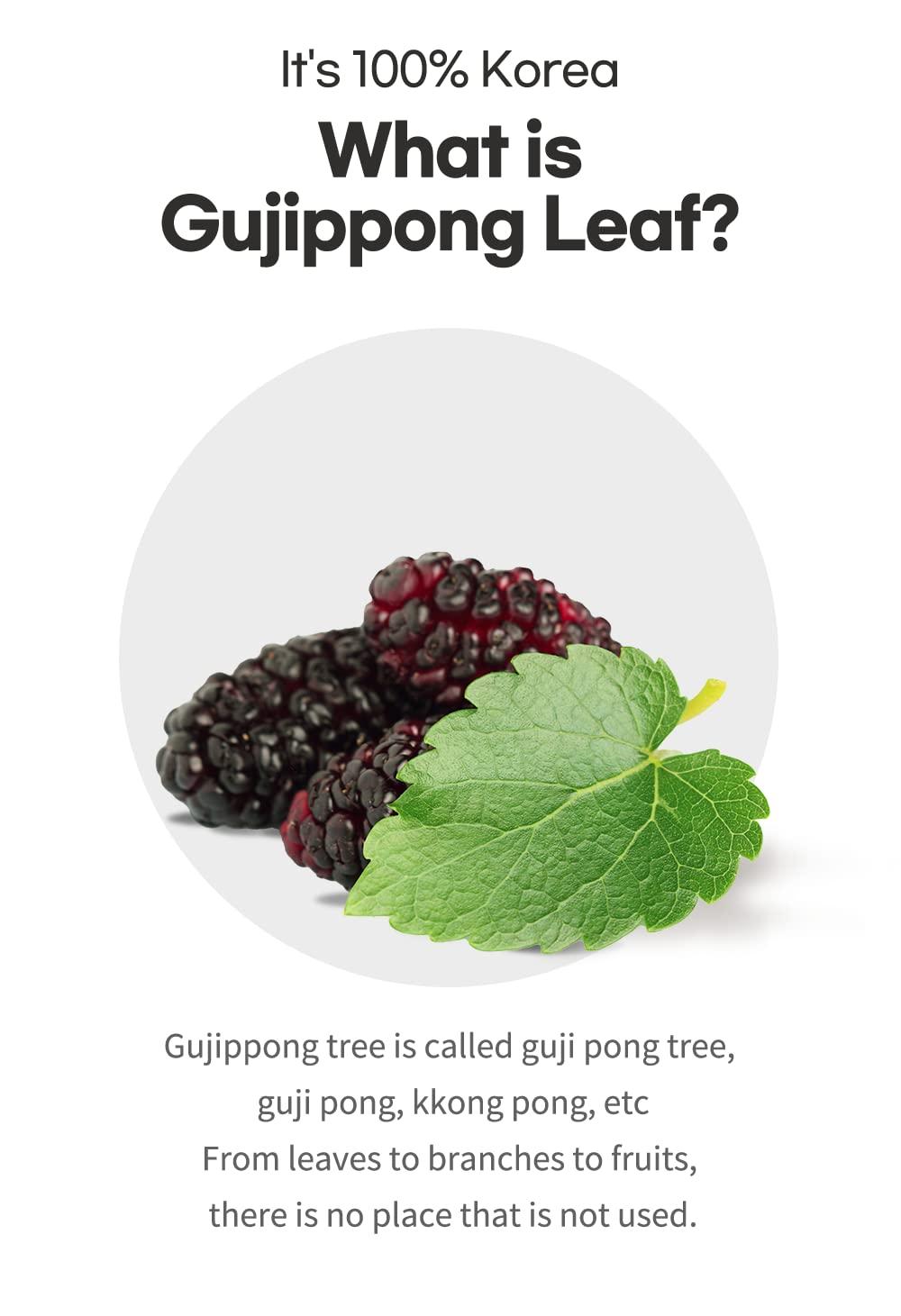 Generic Organic Gujippong Leaf Powder - Kwellness Made in Korea Energy Well-Being Superfood Healthy Powder Natural Ingredients 250g