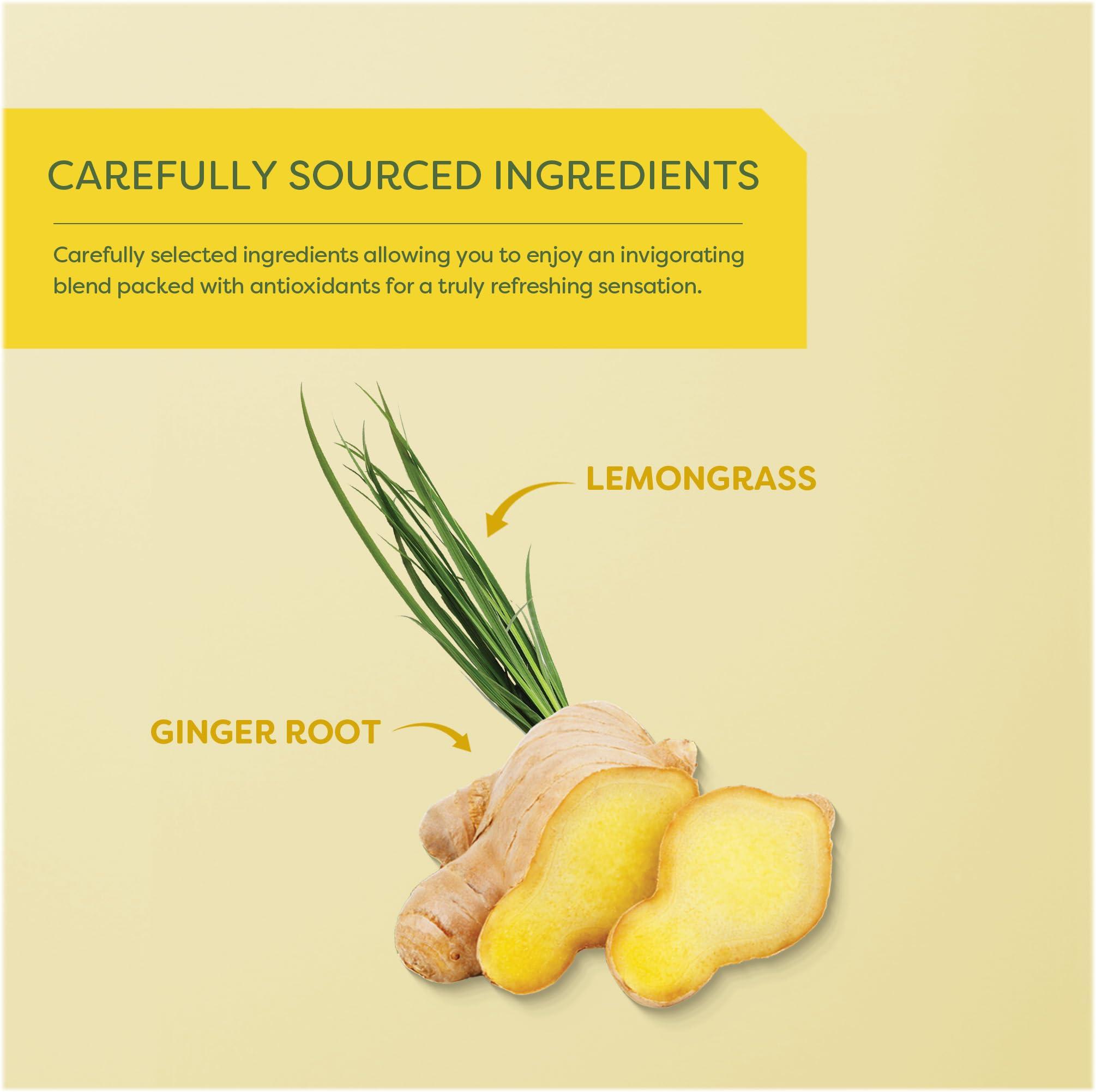 Wissotzky Wissotzky Ginger & Lemongrass Green Tea, 20 Tea Bags | Antioxidant Rich | Invigorating Blend | Lemon Ginger Green Tea Bags