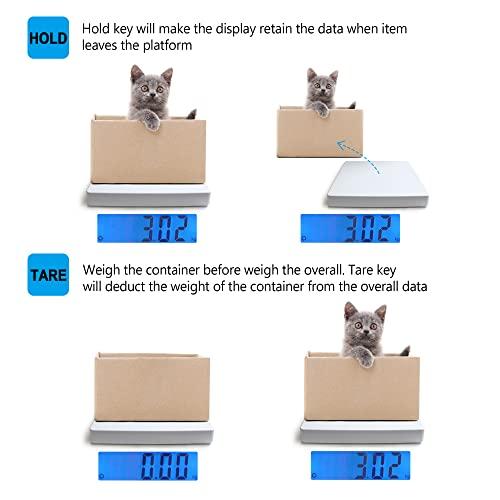 BRMDT BRMDT Digital Scales for Body Weight Heavy Duty for Hospital & Physician Use, Large Digital Display and Base with The Ability to Weigh Up to 660lbs/300kg (White, DT-550)