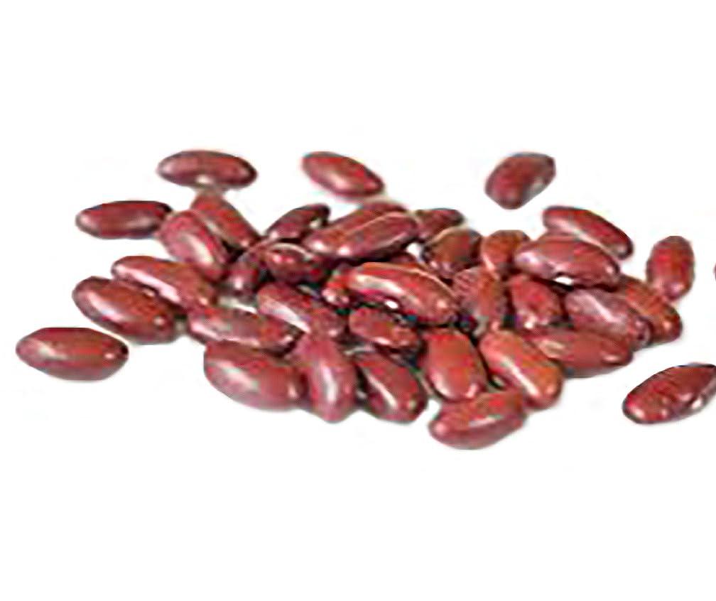 Marde Ross & Company Bush Bean Red Kidney Bean Seeds