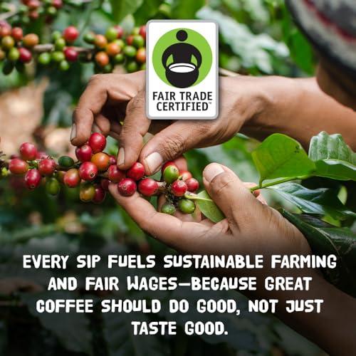 Punk Bunny Coffee Punk Bunny Ultra Dark Roast Coffee, Organic Coffee Pods, Father of All Dark, 10 count