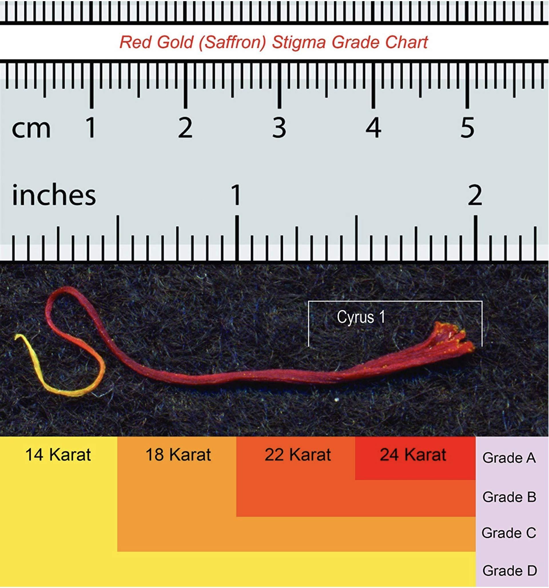 Great Low Carb Bread Co. Great Low Carb Bread Company - Fettuccine Pasta, 8 ounces - 2 Packs