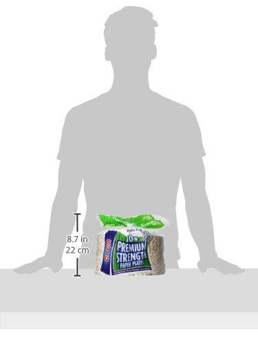 SOLO Solo Paper Plates 10 inch,140 Count