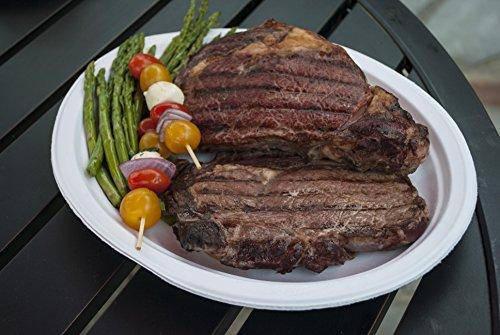 Chinet Chinet 10 3/8 Dinner Plate 100-count Box