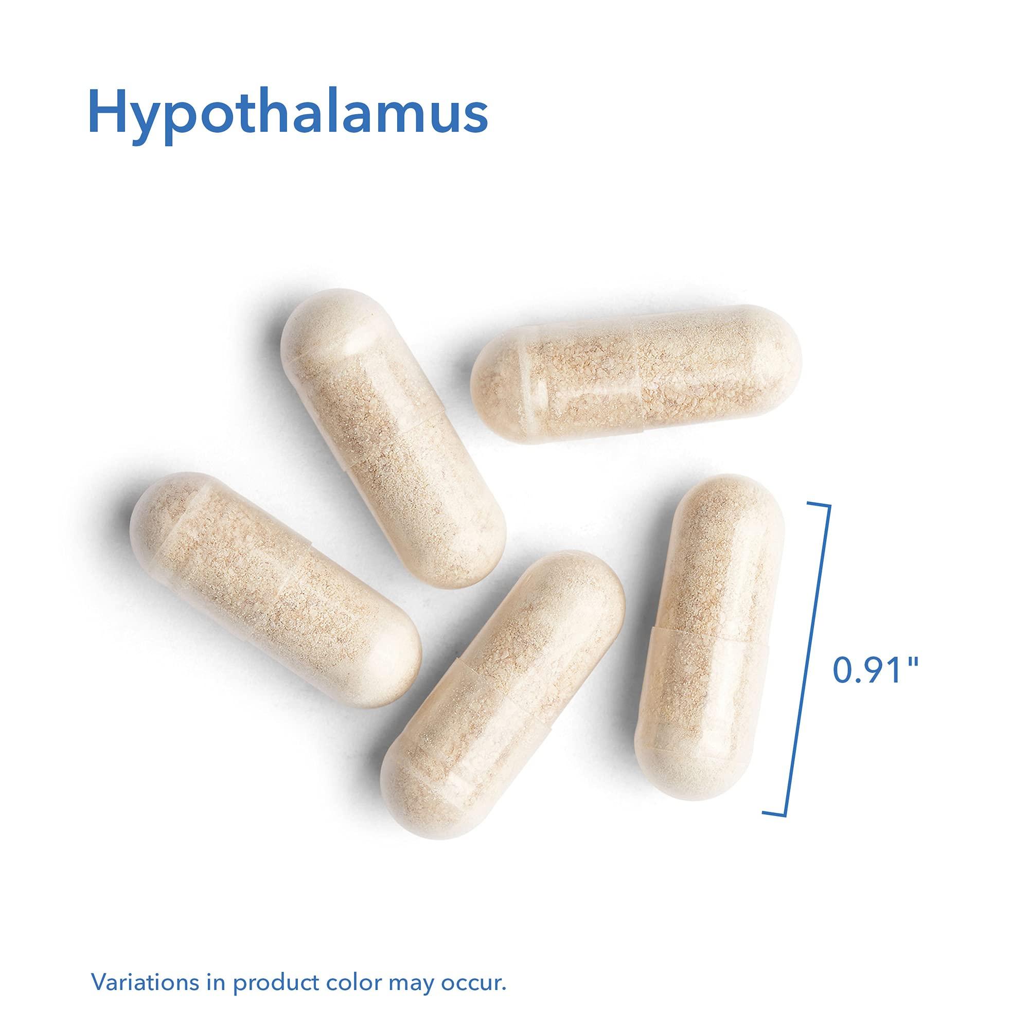 Allergy Research Group Allergy Research Group Hypothalamus Supplement - Endocrine Support, Natural Glandular, 500mg Adrenal Support, Adrenal Pituitary, Adrenal Gland Function, Bovine, Lyophilized, Vegicaps - 100 Count