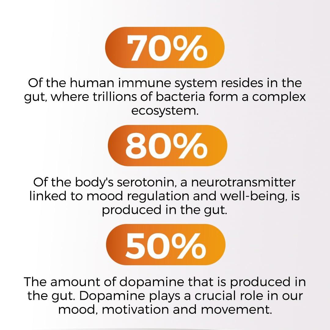Vitamax Vitamax 60B Probiotic Digestive Gut Health Supplement - Slippery Elm, Coriander, Papaya, Turmeric, Ginger, Psyllium Husk, Licorice, Marshmallow Root - Men & Women - Made in USA (60 Count (Pack of 1)