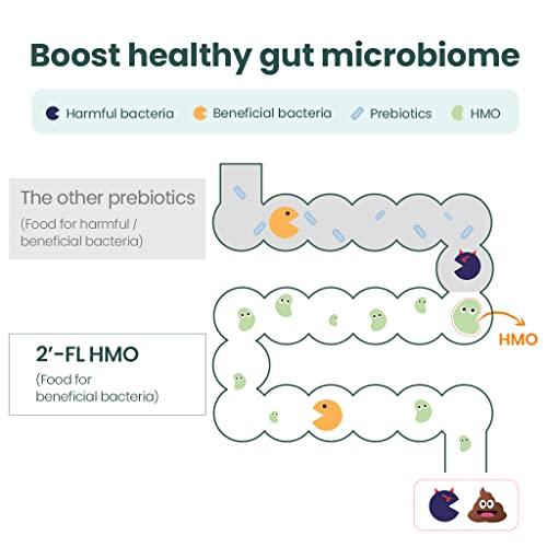 MOMSTAMIN MOMSTAMIN HMO(Human Milk Oligosaccharides) Super Prebiotics and Probiotics for Women, Men : Immune Digestive Supplement | HMO Probiotics | HMO Supplement | Prebiotics Powder | IBS Relief - 30 Packets