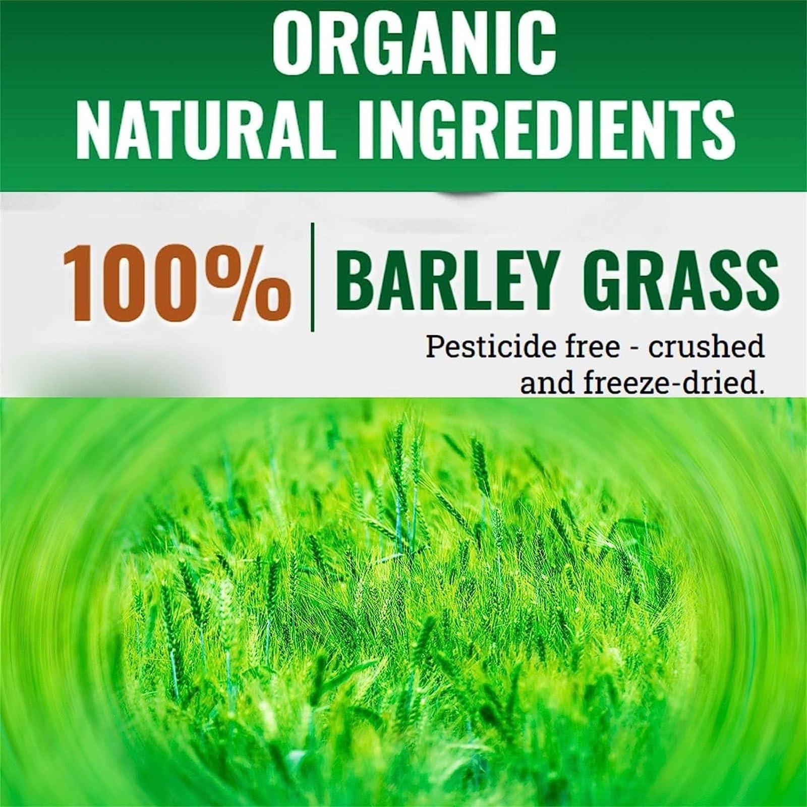 Kfvbbt SBG Salveo Barley Grass, Salveo Barley Grass Powder, SBG ON The GO, 100% Pure Salveo Well Organic Barley Grass Juice Powder, Brought to Your Pure Health, Excrete Body Waste in Just 2 Weeks(3boxs)
