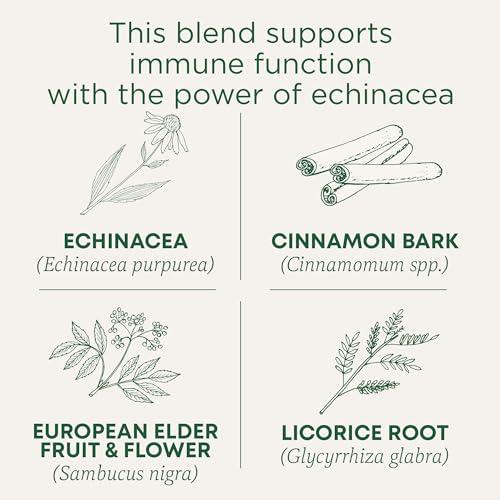 Boulder Canyon Potato Chips, Malt Vinegar, 5 oz (pack of 12 ) ( Value Bulk Multi-pack)