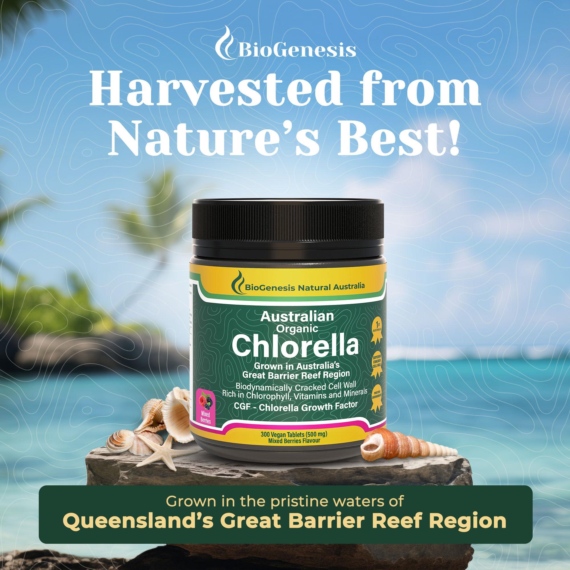 Biogenesis Organic Chlorella Tablets, Australian | Advanced BioDynamic Cracked Cell Wall | Chlorophyll-Rich, Vitamins, Minerals, Chlorella Growth Factor | Supports Good Health | Vegan Tablets (Mixed Berry, 300)