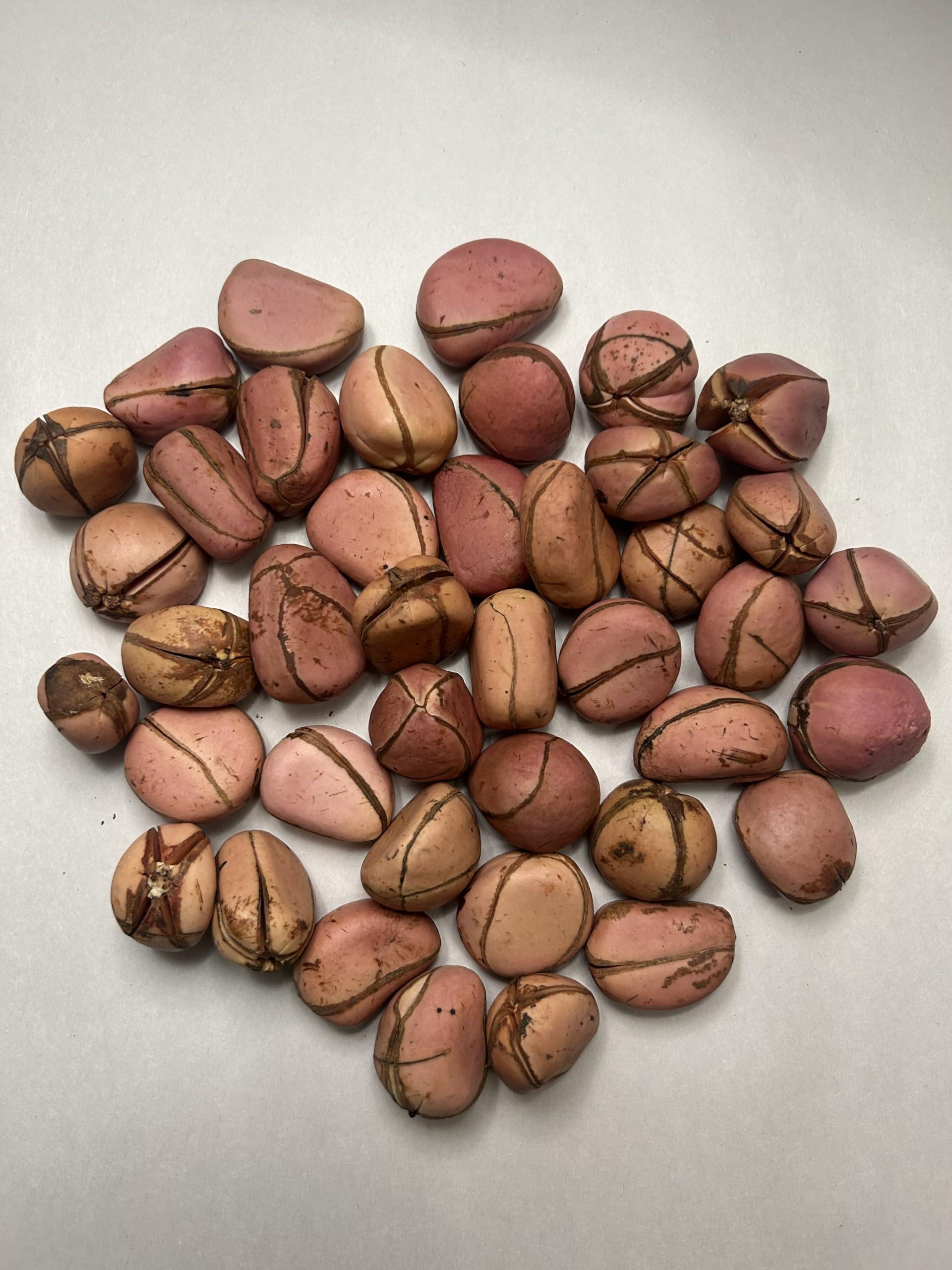 Housoutil Housoutil 2 Pcs Plastic Wash Basin Round Dish Pan Wash Tub Bathroom Water Tub Face Cleansing Basin for Home Kitchen and Camping M