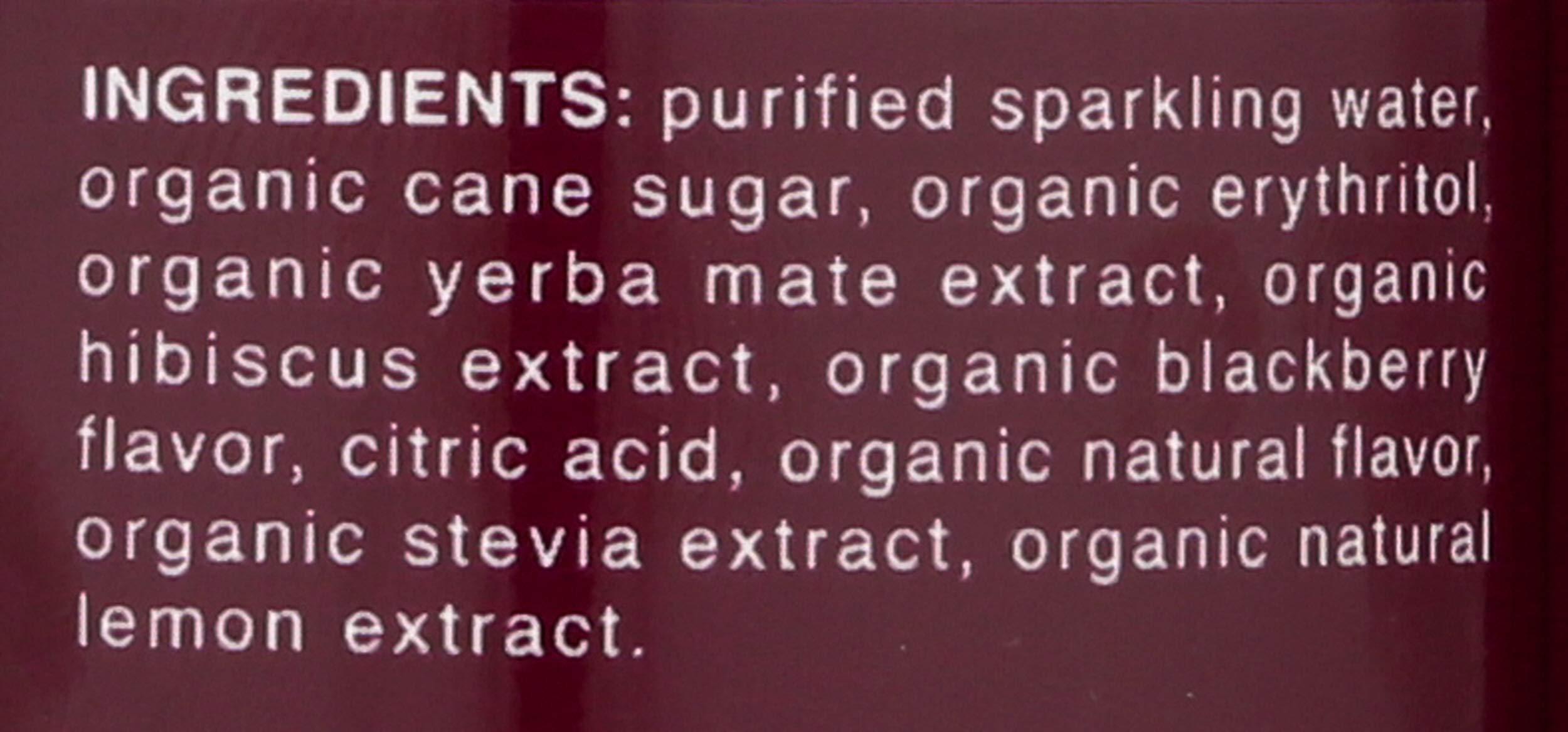 Clean Cause Clean Cause Sparkling Blackberry Yerba Mate - 16 Ounces (Case of 12)